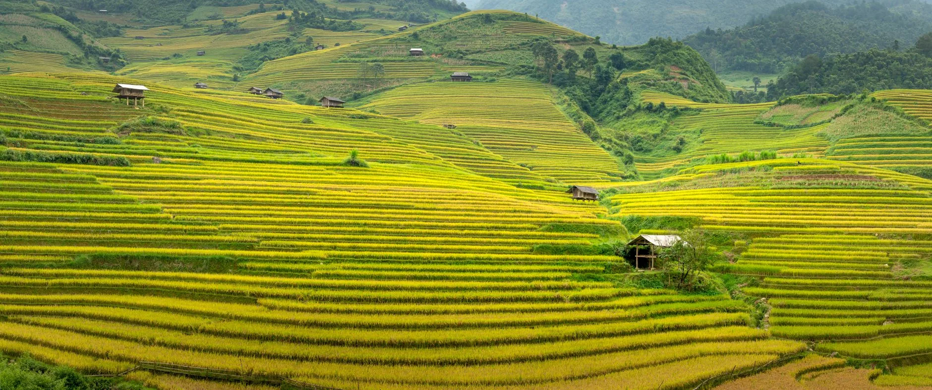 Sapa et les montagnes du Nord