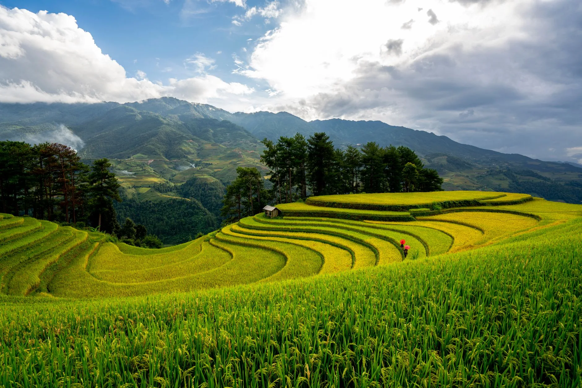 Paysage emblématique du Vietnam