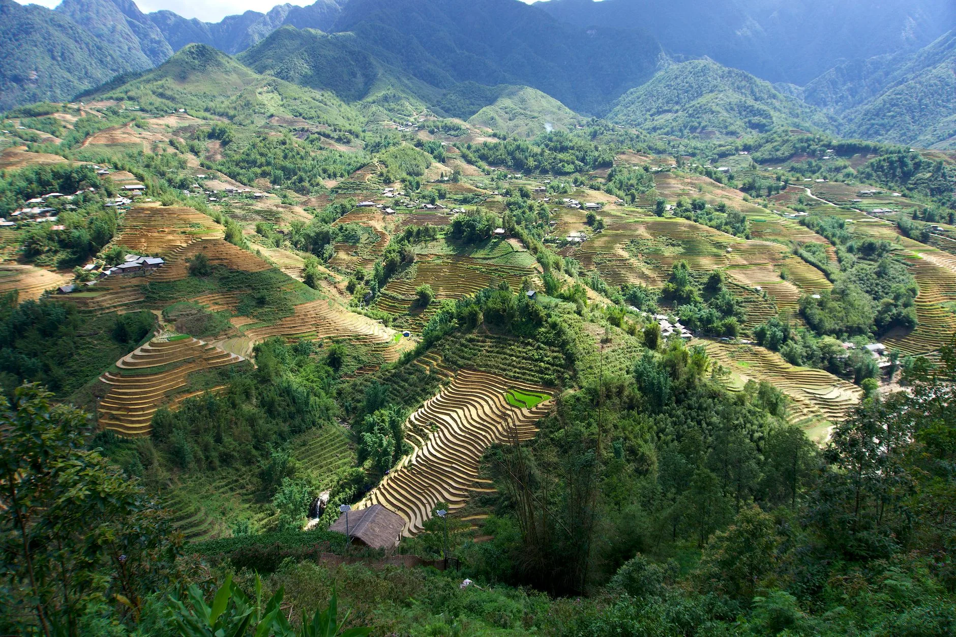 Rizières en terrasses dans les montagnes autour de Sapa au Vietnam